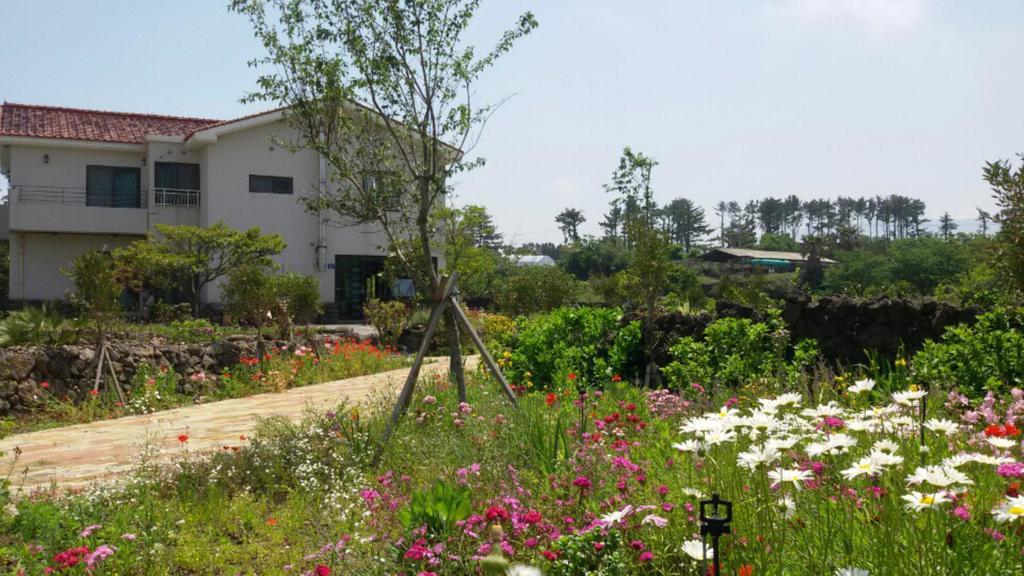 הוילה ג'גו Baghdad House מראה חיצוני תמונה